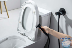 Смеситель с гигиеническим душем Aquatek Бетта AQ1023MB (черный матовый)