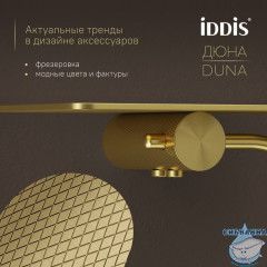 Бумагодержатель с полкой, нержавеющая сталь, Дюна (Duna), золото матовое, IDDIS, DUNMGC0i43