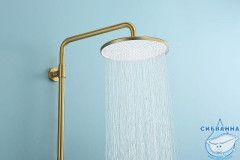 Душевая система Raglo 250 1 режим R20.26.03 (сатин золотой)