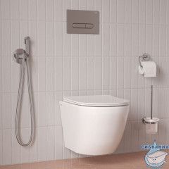 Встраиваемый смеситель с гигиеническим душем, хром глянцевый, IDDIS, 005SBR0i08