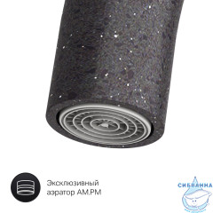 Смеситель для кухни AM.PM Like F8007122 (черный матовый)