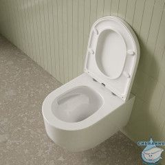 Унитаз подвесной безободковый, Эйгер Кью (Aiger Q), IDDIS, AIQRDSEi25