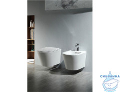 Унитаз подвесной безободковый Aquatek Вега AQ1904-00 (с сиденьем Soft Close (микролифт)