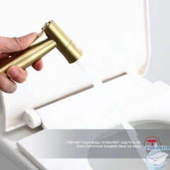 Встраиваемый смеситель с гигиеническим душем Raglo R10.52.03 (сатин золотой)