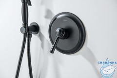 Встраиваемый смеситель для душа Aquatek Классик AQ1566MB (1 режим) (черный матовый)