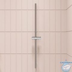 Штанга душевая 60 см Iddis Agua AGU60C0i17 (хром)