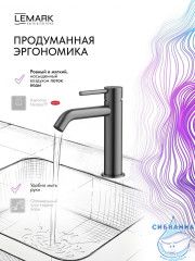 Смеситель для раковины Lemark Калина LMF-2112S-GM (графит)