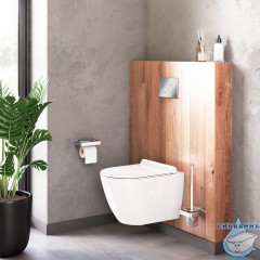 Унитаз подвесной безободковый Damixa Apollo с сиденьем Soft Close (микролифт) DX22C1700SC