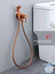 Встраиваемый смеситель с гигиеническим душем Raglo R20.54.33 (медь)