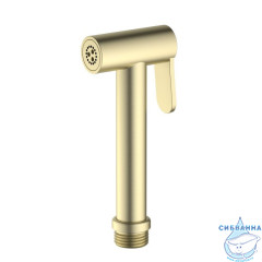 Гигиеническая лейка Aquatek AQ2057BG (золото шлифованное)