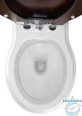 Унитаз напольный Creo Ceramique Dijon с бачком и сиденьем Soft Close (микролифт)