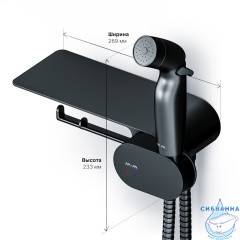 Встраиваемый смеситель с гигиеническим душем Am.Pm Like F0202622 (черный матовый)