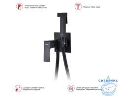 Встраиваемый смеситель Raglo R01.52.06 с гигиеническим душем (черный)