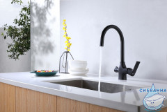 Смеситель для кухни Lemark Ursus LM7261BL с каналом для фильтрованной воды (черный матовый)