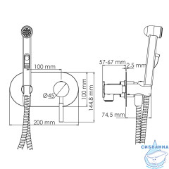 Встраиваемый смеситель с гигиеническим душем Wasserkraft Wern 4238 (никель)