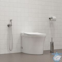 Встраиваемый смеситель с гигиеническим душем, матовый хром, IDDIS, 005BCR0i08