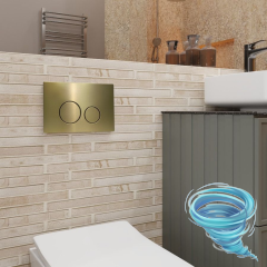 Инсталляция для унитаза Charus CC.300.80.01 с кнопкой смыва Charus Robusto FP.330.BG.05 брашированное золото,  с унитазом LYon 2.0 (с сиденьем Soft Close (микролифт)