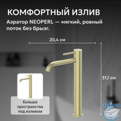 Смеситель ABBER Wasser Kreis 316 AF8111BG-L для накладной раковины, брашированное золото