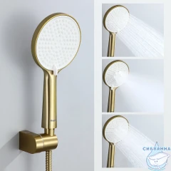 Душевая система Raglo 250 1 режим R20.27.03 (сатин золотой)