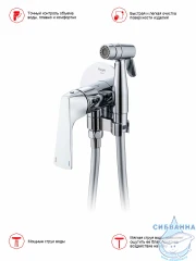 Встраиваемый смеситель с гигиеническим душем Raglo R07.52 (хром)