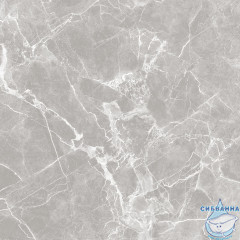 GT60601301MR-4 Керамогранит Solo_GT/MR Серый 60x60 _ 1\48,96