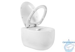 Унитаз подвесной безободковый Aquatek Альтаир AQ1980-00 с сиденьем Soft Close (микролифт)