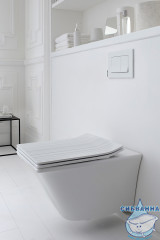 Унитаз подвесной Jacob Delafon Grands Boulevards EDW102-00 с сиденьем Soft Close (микролифт)