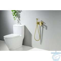 Смеситель с гигиеническим душем Aquatek Оберон AQ1220BG (золото шлифованное)