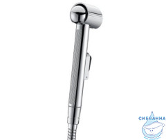 Гигиеническая лейка WasserKRAFT A043 (хром)