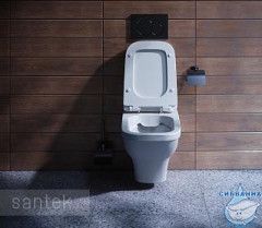 Унитаз подвесной безободковый Santek Лайн 1.WH50.1.574(с сиденьем Soft Close (микролифт)