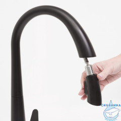 Смеситель для кухни Wasserkraft A8667 (черный матовый)