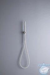 Ручной душ Allen Brau Priority 1 режим 265517 (никель)