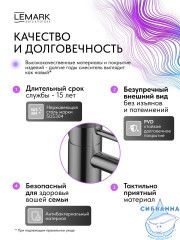 Смеситель для раковины Lemark Зенит LMF-1612S-BRGMN (графит)