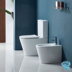 Унитаз напольный Calypso CS2149UQ-TK с бачком и сиденьем Soft Close (микролифт)