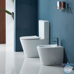 Унитаз напольный Calypso CS2149UQ-TK с бачком и сиденьем Soft Close (микролифт)