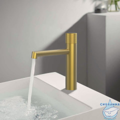 Смеситель для раковины Vincea Desire VBF-1D3BG	(брашированное золото)