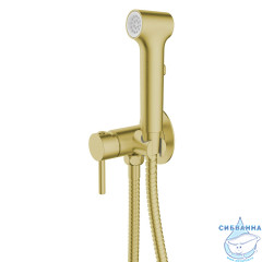Смеситель с гигиеническим душем Azario Nyons AZ-KFX02MG (золото матовое)