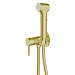 Смеситель с гигиеническим душем Azario Nyons AZ-KFX02MG (золото матовое)