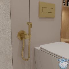 Встраиваемый смеситель с гигиеническим душем Oliveeka Y-Line OL-829909-BG (золото матовое)