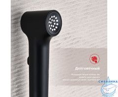 Встраиваемый смеситель Raglo R03.52.06 с гигиеническим душем (черный)