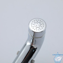 Гигиеническая лейка Frap 1 режим F021 (хром)