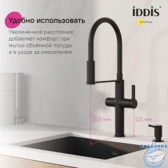 Смеситель для кухни с каналом для фильтрованной воды и гибким изливом, черный матовый, Ikon, IDDIS, IKNBLFFi05