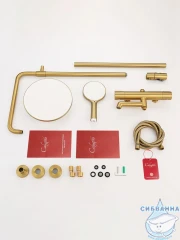 Душевая система Calypso CS2620-3 250 1 режим (золото матовое)