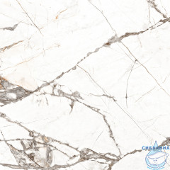 GT60604703PR Керамогранит Timeline_GT Бел. 60x60 полир._ 1\51,84