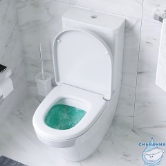 Унитаз напольный AM.PM Inspire C508607WH (с бачком без сиденья) (белый глянцевый)