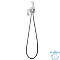 Встраиваемый смеситель с гигиеническим душем ABBER Wasserfall AF8625 (хром )