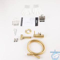 Смеситель ABBER Wasser Kreis 316 AF8125BG с гигиеническим душем, брашированное золото