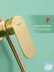 Душевая система Raglo 300 1 режим R10.24.03 (сатин золотой)