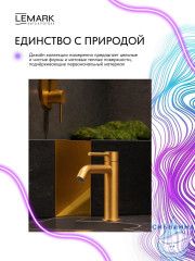 Смеситель для раковины Lemark Калина LMF-2112S-BRG (брашированное золото)