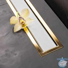 Дренажный трап для душа Pestan Confluo Premium Line White Glass Gold 550 13100121 решеткой